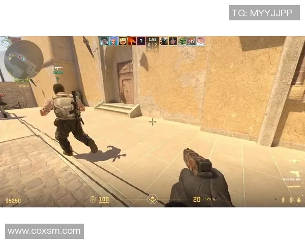 CS_GO巨献：探秘V5的配合